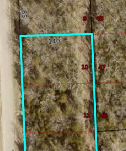0 Rue Riviera lots 10 & 11, Bonne Terre, Missouri 63628, ,Land,For Sale,Rue Riviera lots 10 & 11,MAR24044418