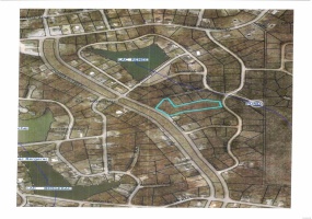 0 Champs Elysees Drive, Bonne Terre, Missouri 63628, ,Land,For Sale,Champs Elysees,MAR24044448