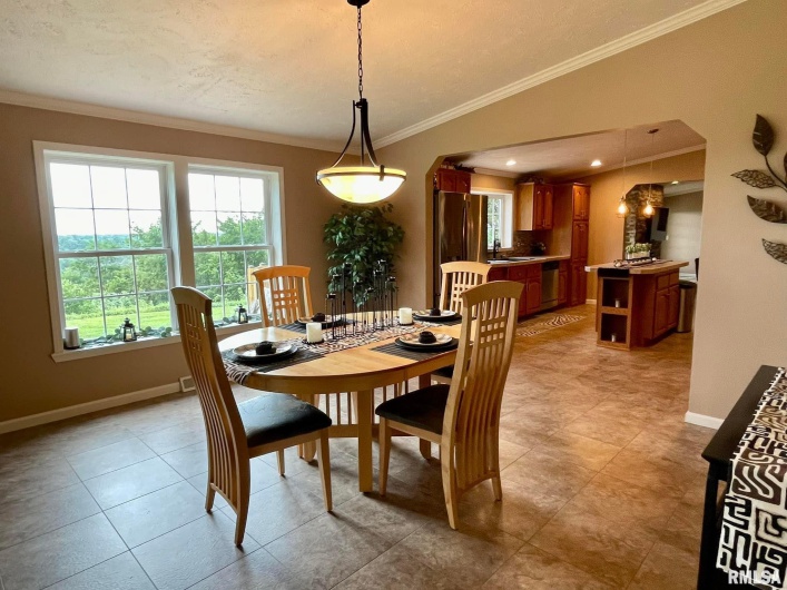 20 Xanders Lane, Golconda, Illinois 62938, 2 Bedrooms Bedrooms, 0 ,2 BathroomsBathrooms,Residential,For Sale,Xanders,0,RMAEB454285