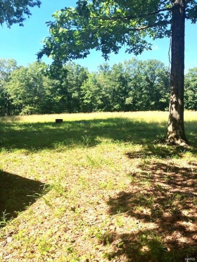 78 Madison CR 410, Fredericktown, Missouri 63645, 3 Bedrooms Bedrooms, 6 Rooms Rooms,1 BathroomBathrooms,Farm,For Sale,Madison CR 410,MAR24045423