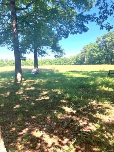 78 Madison CR 410, Fredericktown, Missouri 63645, 3 Bedrooms Bedrooms, 6 Rooms Rooms,1 BathroomBathrooms,Farm,For Sale,Madison CR 410,MAR24045423