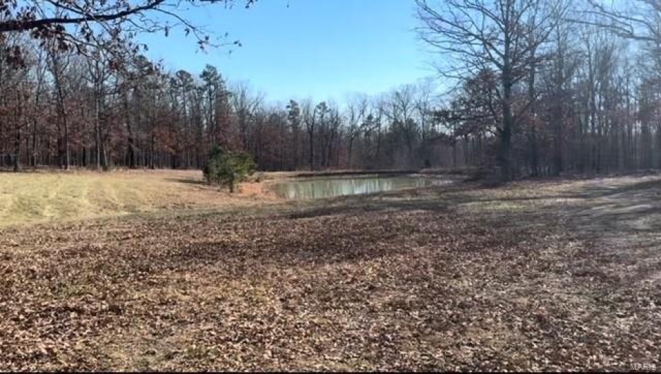 78 Madison CR 410, Fredericktown, Missouri 63645, 3 Bedrooms Bedrooms, 6 Rooms Rooms,1 BathroomBathrooms,Farm,For Sale,Madison CR 410,MAR24045423