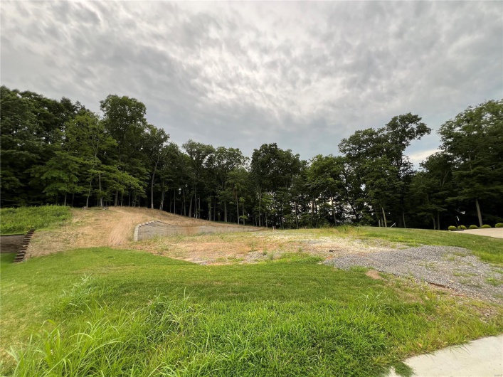 2409 Brister Hill Drive, Cape Girardeau, Missouri 63701, ,Land,For Sale,Brister Hill,MAR24045601