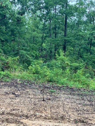 75 Madison CR 410, Fredericktown, Missouri 63645, ,Farm,For Sale,Madison CR 410,MAR24045963