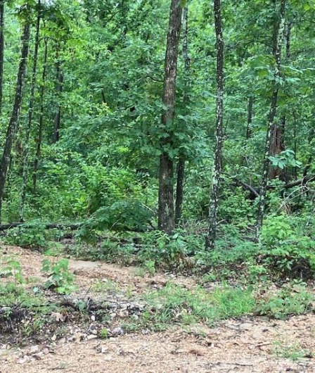 79 Madison CR 410, Fredericktown, Missouri 63645, ,Farm,For Sale,Madison CR 410,MAR24045967
