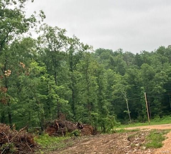 80 Madison CR 410, Fredericktown, Missouri 63645, ,Farm,For Sale,Madison CR 410,MAR24045970