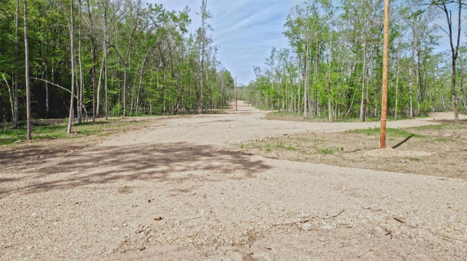 0 Madison CR 410 (109), Fredericktown, Missouri 63645, ,Farm,For Sale,Madison CR 410 (109),MAR24044086