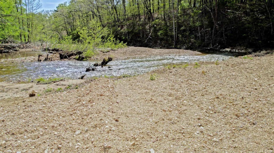 0 Madison CR 410 (109), Fredericktown, Missouri 63645, ,Farm,For Sale,Madison CR 410 (109),MAR24044086