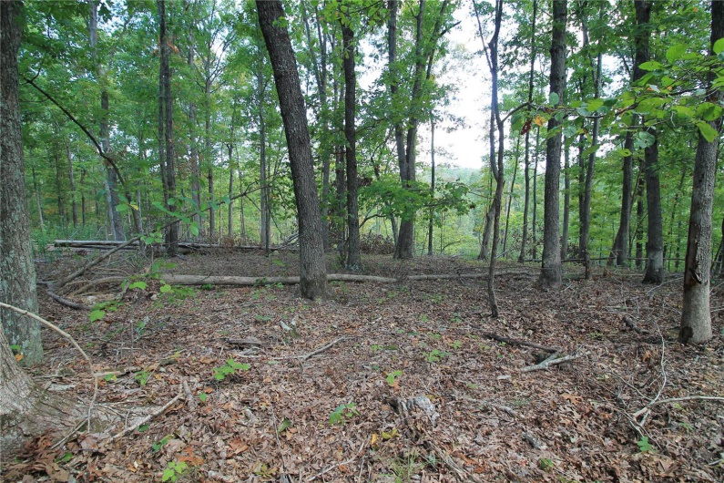 0 Madison CR 410 (109), Fredericktown, Missouri 63645, ,Farm,For Sale,Madison CR 410 (109),MAR24044086