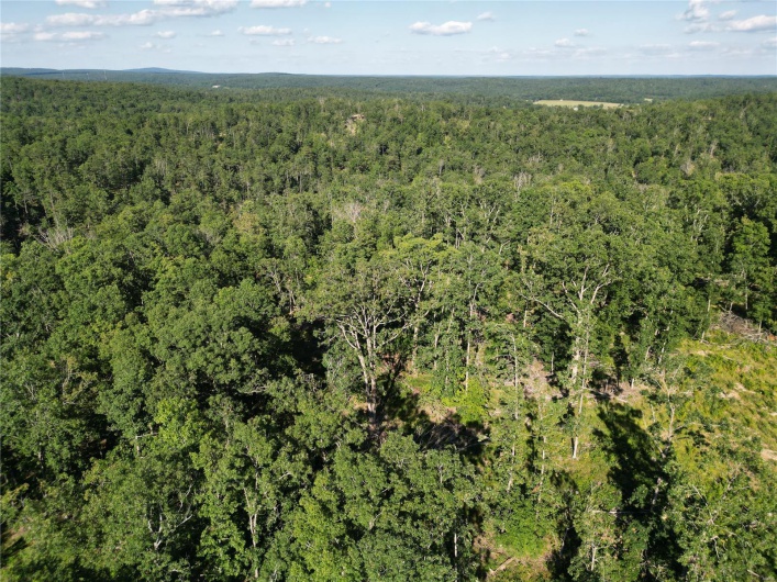 0 Madison CR 410 (109), Fredericktown, Missouri 63645, ,Farm,For Sale,Madison CR 410 (109),MAR24044086