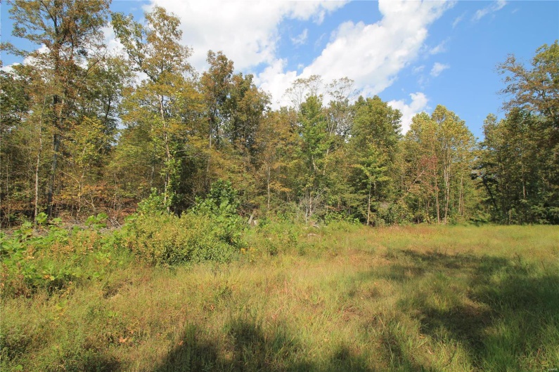 0 Madison CR 410 (109), Fredericktown, Missouri 63645, ,Farm,For Sale,Madison CR 410 (109),MAR24044086