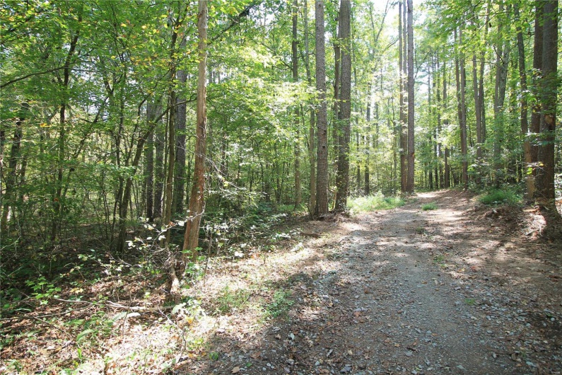 0 Madison CR 410 (109), Fredericktown, Missouri 63645, ,Farm,For Sale,Madison CR 410 (109),MAR24044086