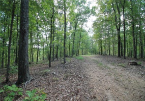 0 Madison CR 410 (109), Fredericktown, Missouri 63645, ,Farm,For Sale,Madison CR 410 (109),MAR24044086