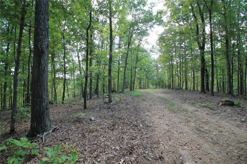 0 Madison CR 410 (109), Fredericktown, Missouri 63645, ,Farm,For Sale,Madison CR 410 (109),MAR24044086