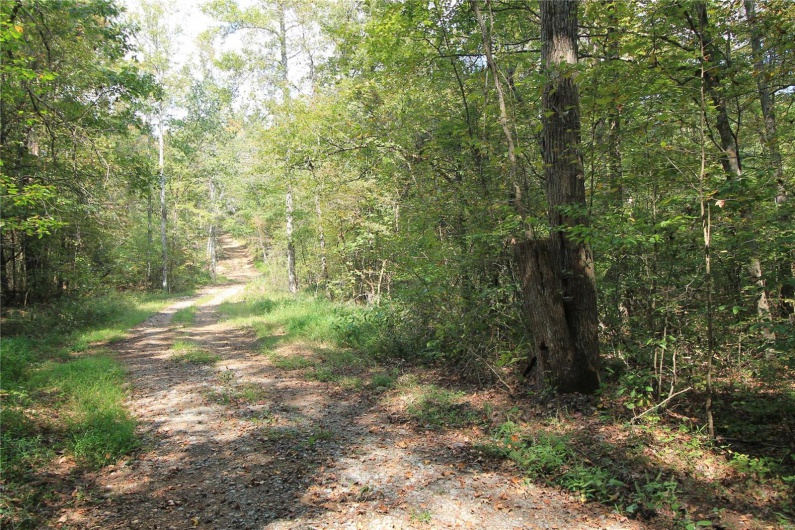 0 Madison CR 410 (109), Fredericktown, Missouri 63645, ,Farm,For Sale,Madison CR 410 (109),MAR24044086