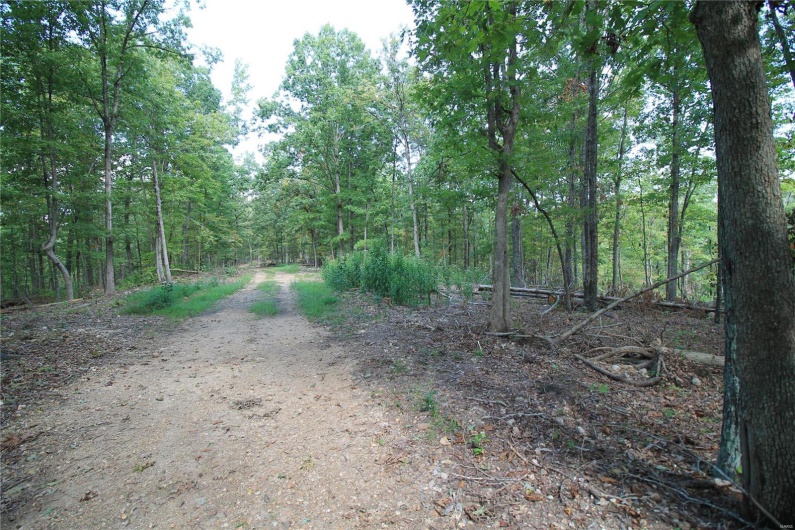0 Madison CR 410 (109), Fredericktown, Missouri 63645, ,Farm,For Sale,Madison CR 410 (109),MAR24044086