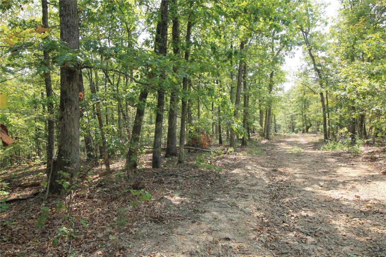0 Madison CR 410 (109), Fredericktown, Missouri 63645, ,Farm,For Sale,Madison CR 410 (109),MAR24044086