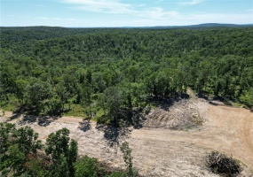 0 Madison CR 410 (111), Fredericktown, Missouri 63645, ,Farm,For Sale,Madison CR 410 (111),MAR24036949