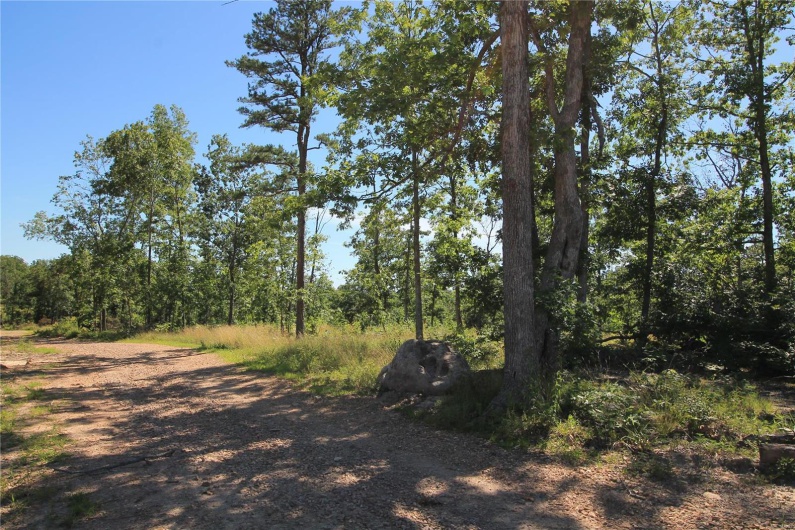 0 Madison CR 410 (111), Fredericktown, Missouri 63645, ,Farm,For Sale,Madison CR 410 (111),MAR24036949