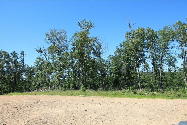 0 Madison CR 410 (111), Fredericktown, Missouri 63645, ,Farm,For Sale,Madison CR 410 (111),MAR24036949