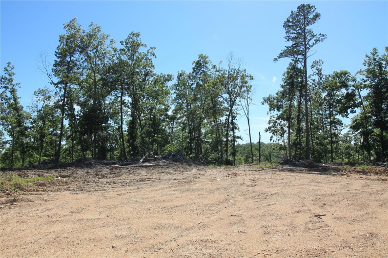 0 Madison CR 410 (111), Fredericktown, Missouri 63645, ,Farm,For Sale,Madison CR 410 (111),MAR24036949