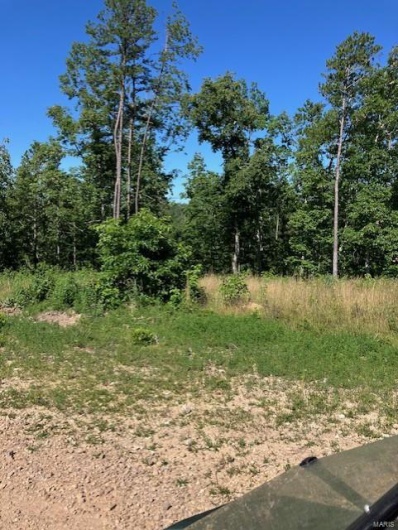 76 Madison CR 410, Fredericktown, Missouri 63645, ,Farm,For Sale,Madison CR 410,MAR24047497
