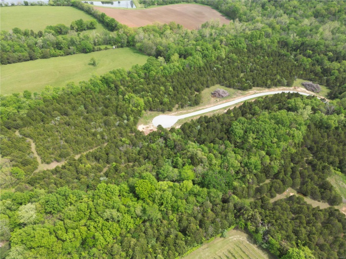Drone / aerial view featuring a rural view