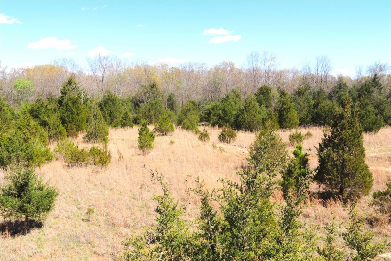 1 Cinque Hommes Drive, Perryville, Missouri 63775, ,Commercial Sale,For Sale,Cinque Hommes,MAR24047807