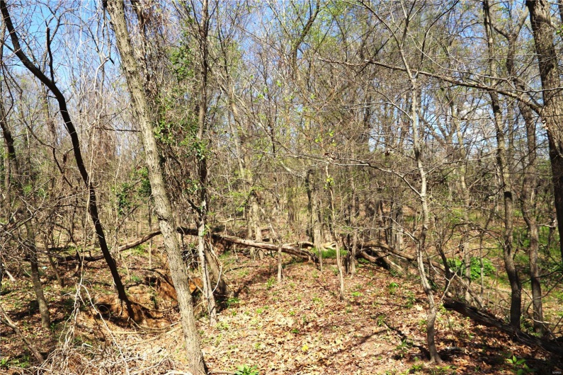 1 Cinque Hommes Drive, Perryville, Missouri 63775, ,Commercial Sale,For Sale,Cinque Hommes,MAR24047807
