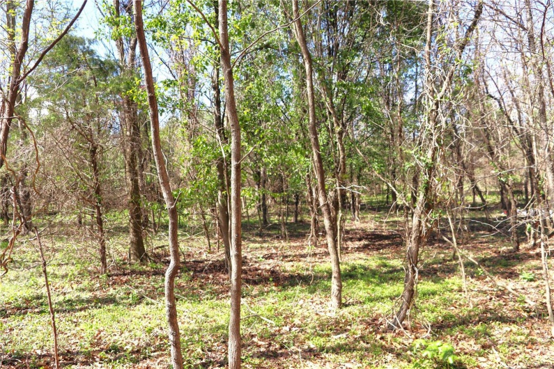 1 Cinque Hommes Drive, Perryville, Missouri 63775, ,Commercial Sale,For Sale,Cinque Hommes,MAR24047807