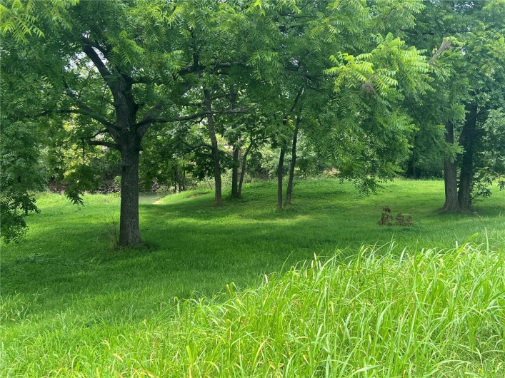 707 Riverview Drive, Poplar Bluff, Missouri 63901, ,Land,For Sale,Riverview,MAR24048031