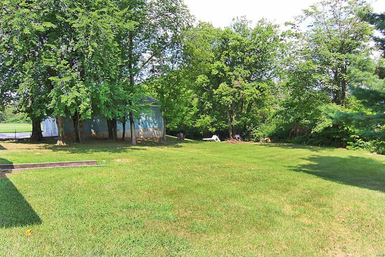 flat back yard