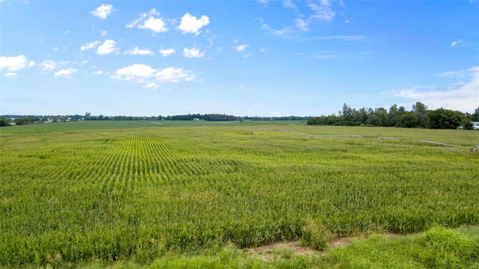 0 County Road 538, Sikeston, Missouri 63801, ,Farm,For Sale,County Road 538,MAR23048910