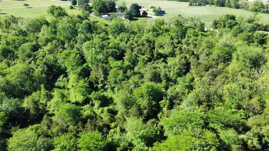 1 Madison 210 and 72, Fredericktown, Missouri 63645, ,Land,For Sale,Madison 210 and 72,MAR24029100