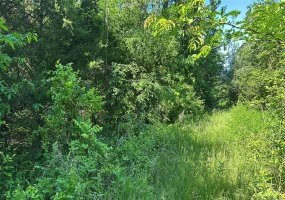 1 Madison 210 and 72, Fredericktown, Missouri 63645, ,Land,For Sale,Madison 210 and 72,MAR24029100