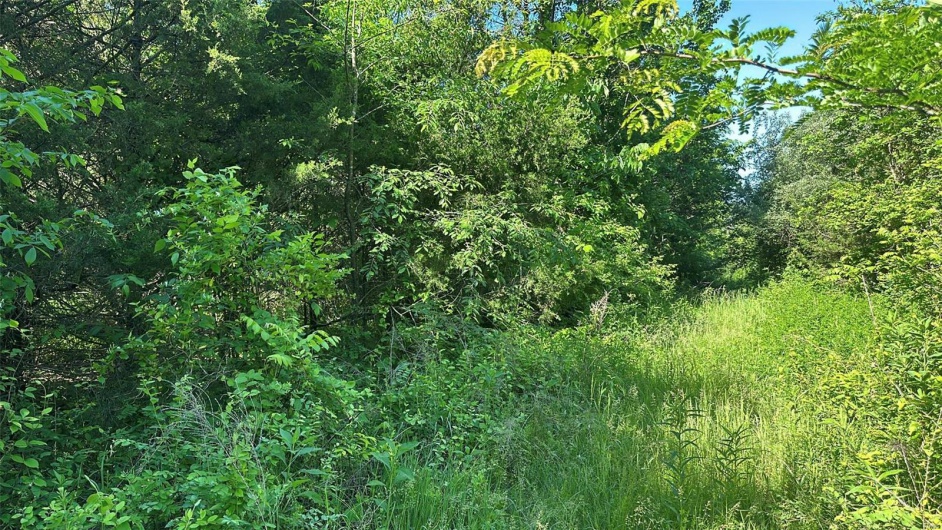 1 Madison 210 and 72, Fredericktown, Missouri 63645, ,Land,For Sale,Madison 210 and 72,MAR24029100
