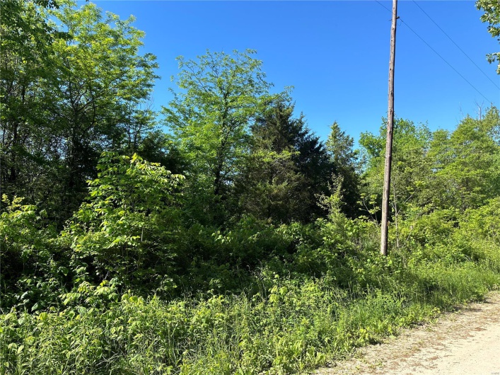 1 Madison 210 and 72, Fredericktown, Missouri 63645, ,Land,For Sale,Madison 210 and 72,MAR24029100