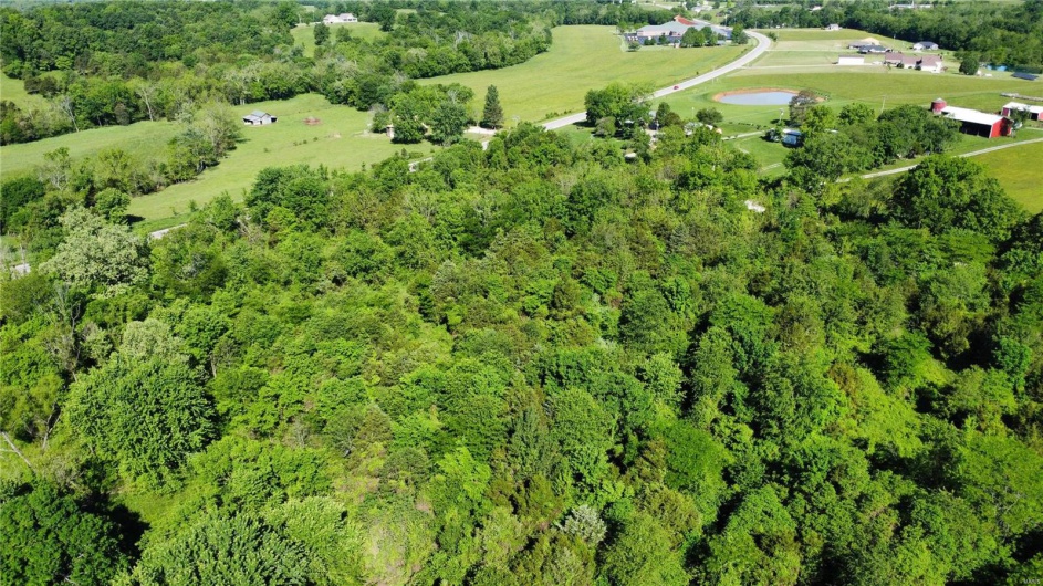 1 Madison 210 and 72, Fredericktown, Missouri 63645, ,Land,For Sale,Madison 210 and 72,MAR24029100