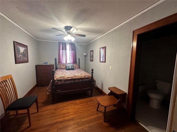 156 Main Street, Ironton, Missouri 63650, ,Residential Income,For Sale,Main,MAR24045334