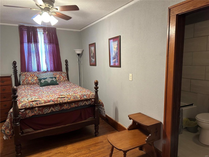 156 Main Street, Ironton, Missouri 63650, ,Residential Income,For Sale,Main,MAR24045334