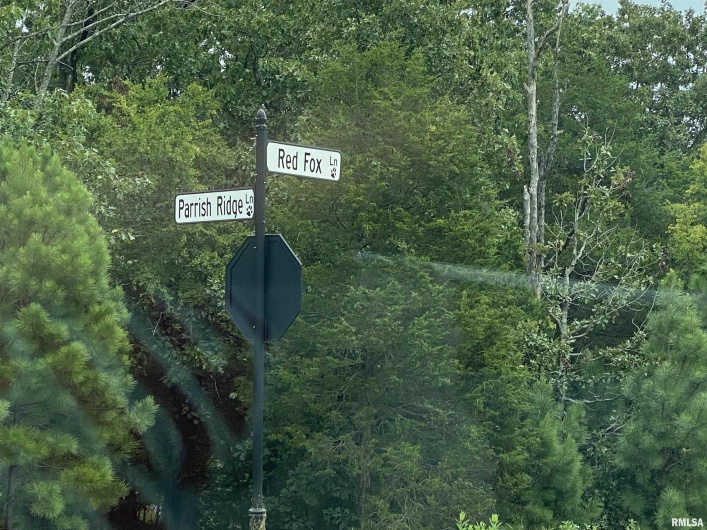 Parrish Ridge Lane, Goreville, Illinois 62939, 0 , 0 ,0,Land,For Sale,Parrish Ridge,0,RMAQC4255439