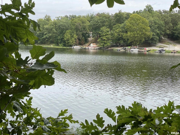 Parrish Ridge Lane, Goreville, Illinois 62939, 0 , 0 ,0,Land,For Sale,Parrish Ridge,0,RMAQC4255439