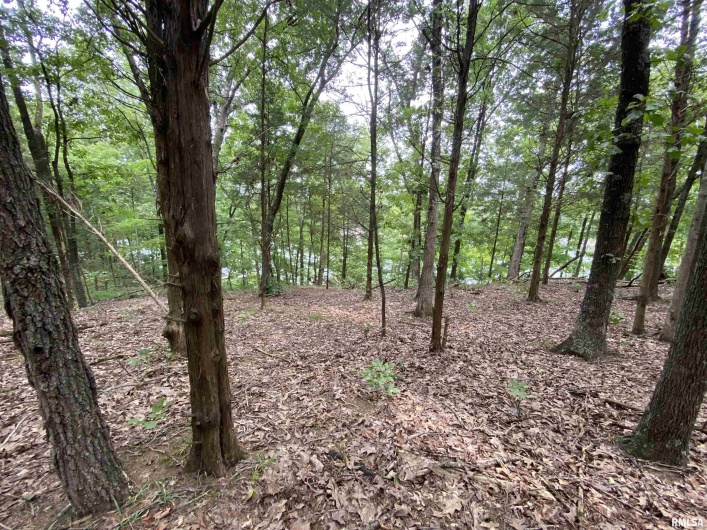 Parrish Ridge Lane, Goreville, Illinois 62939, 0 , 0 ,0,Land,For Sale,Parrish Ridge,0,RMAQC4255439
