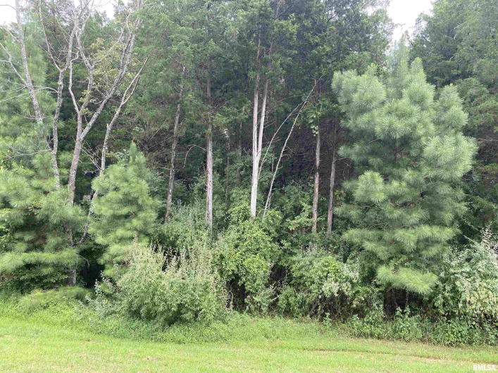 Parrish Ridge Lane, Goreville, Illinois 62939, 0 , 0 ,0,Land,For Sale,Parrish Ridge,0,RMAQC4255439