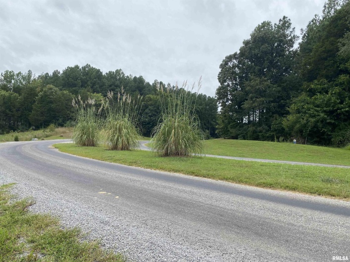 Parrish Ridge Lane, Goreville, Illinois 62939, 0 , 0 ,0,Land,For Sale,Parrish Ridge,0,RMAQC4255439