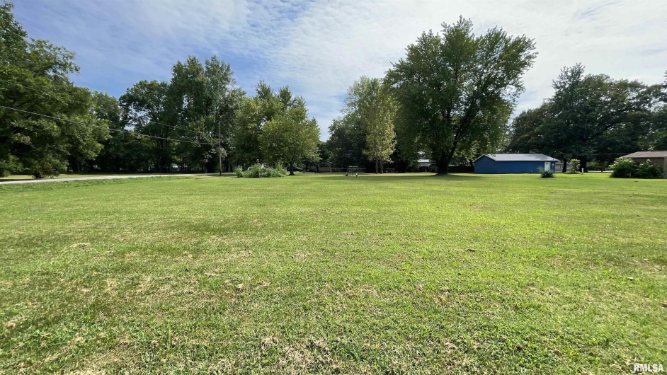531 WILSON Street, Hurst, Illinois 62949, 0 , 0 ,0,Land,For Sale,WILSON,0,RMAQC4255524