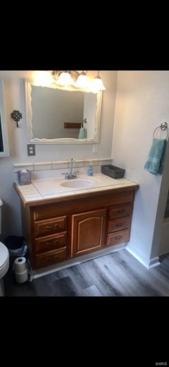 Bathroom featuring vanity, hardwood / wood-style floors, and toilet