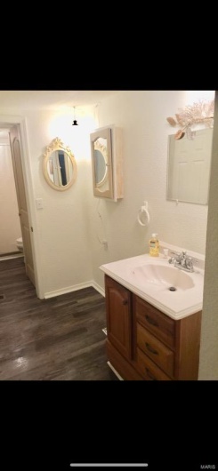 Bathroom with wood-type flooring and vanity