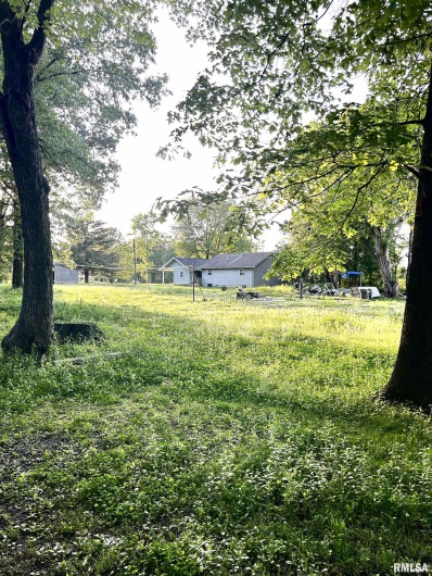 1207 Gentile Street, Colp, Illinois 62921, 0 , 0 ,0,Land,For Sale,Gentile,0,RMAEB454823