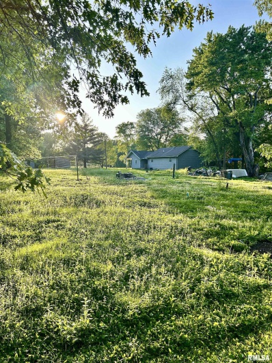 1207 Gentile Street, Colp, Illinois 62921, 0 , 0 ,0,Land,For Sale,Gentile,0,RMAEB454823